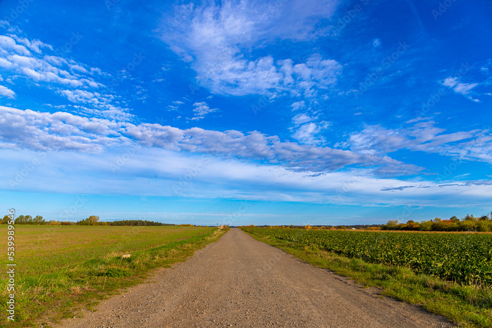Dirt road in autumn with blue sky