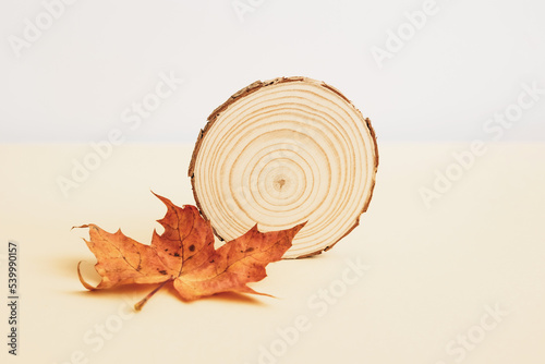 Wooden podium with autumn maple tree leaves and shadows on pastel background