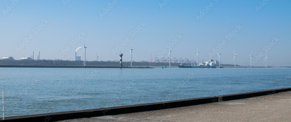 boats in the harbor