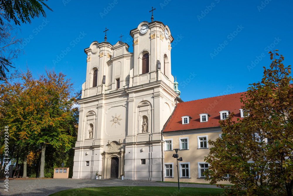 Fototapeta premium Obra Abbey, Greater Poland Voivodeship