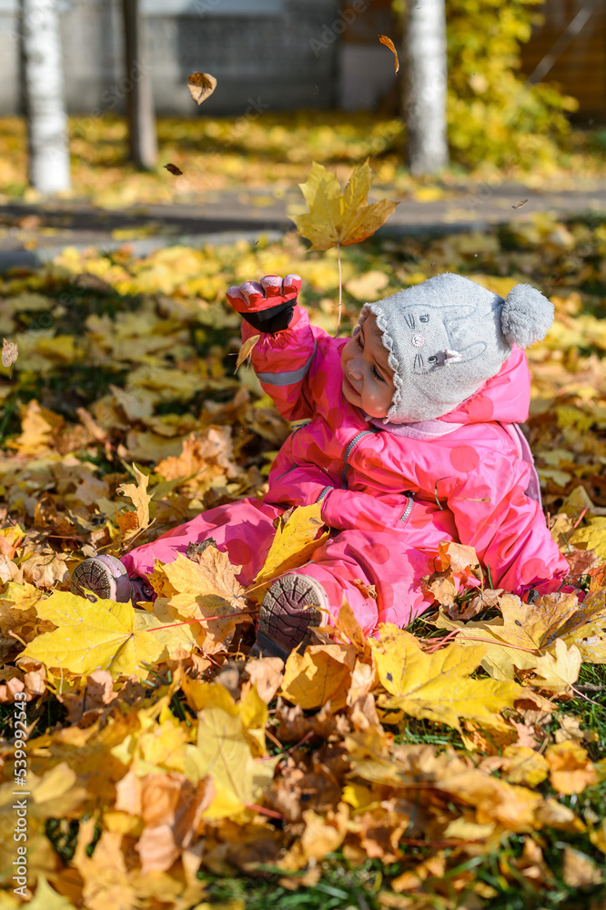 baby little girl sitting on the ground on yellow leaves in autumn baby little girl sitting on the ground on yellow leaves in autumn