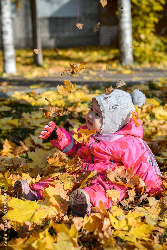 baby little girl sitting on the ground on yellow leaves in autumn baby little girl sitting on the ground on yellow leaves in autumn
