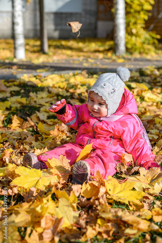 baby little girl sitting on the ground on yellow leaves in autumn