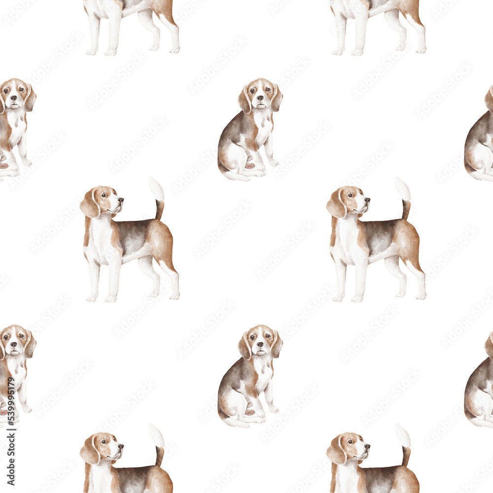 Naklejka premium Beagle dog seamless pattern