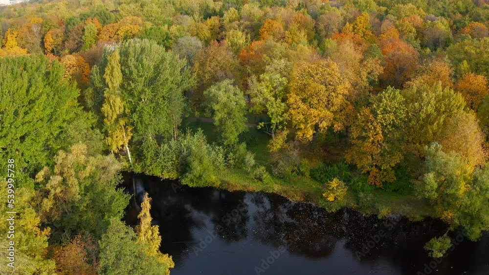 Early autumn drone flight back view of the tops of very beautiful trees with yellowing leaves and a pond in the park.. Early autumn drone flight back view of the tops of very beautiful trees with yellowing leaves and a pond in the park..