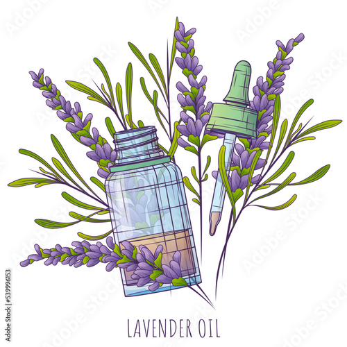 Vector illustration of essential oil, lavender flower and leaves. Glass bottle with dropper. Lavandula essential oil. Pipette. Cosmetic, perfumery and medicinal plant.