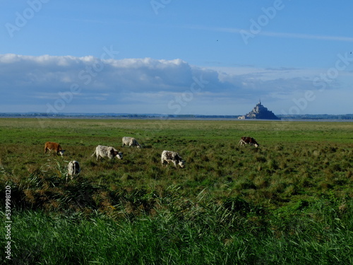 Mont-Saint-Michel (Manche) photo