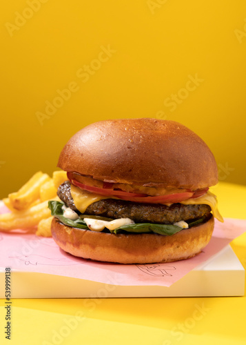 burger with french fries on a yellow background
