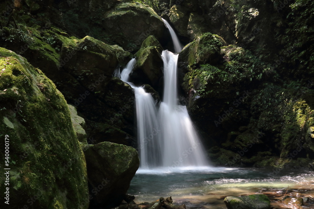 Naklejka premium 不動の滝 二の滝の景観 夏 (高知県 北川村)