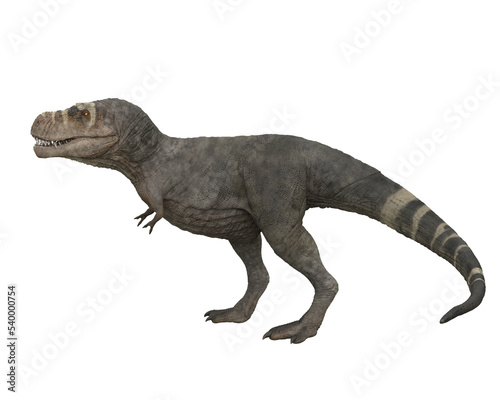 Tyrannosaurus Rex dinosuar walking, side view. 3D illustration isolated on transparent background.
