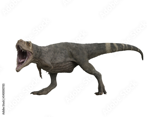 Tyrannosaurus Rex dinosuar side view with mouth wide open. 3D illustration isolated on transparent background. © IG Digital Arts