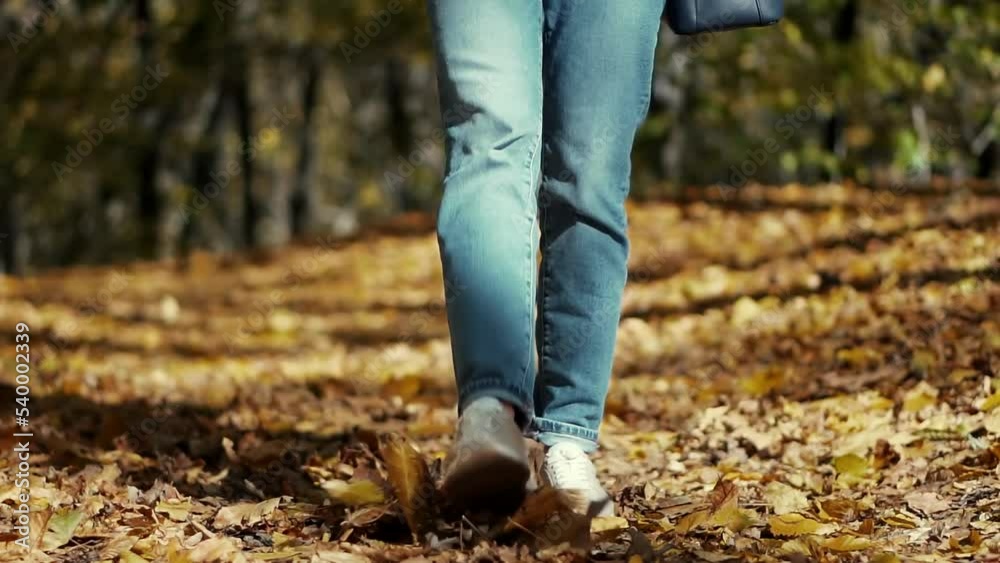 Woman Legs Walking On Fallen Leaves. Stylish Woman Legs In Leather
