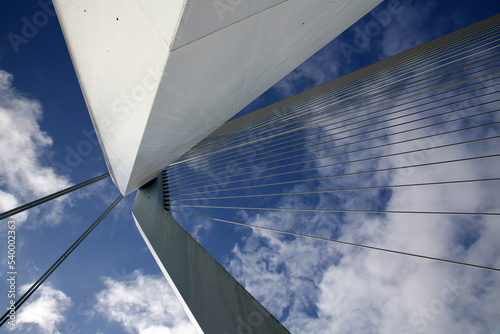 Erasmus Bridge in Rotterdam, the Netherlands