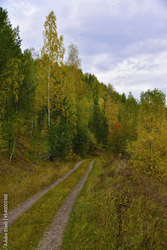 Dirt roads through the autumn fields and forests