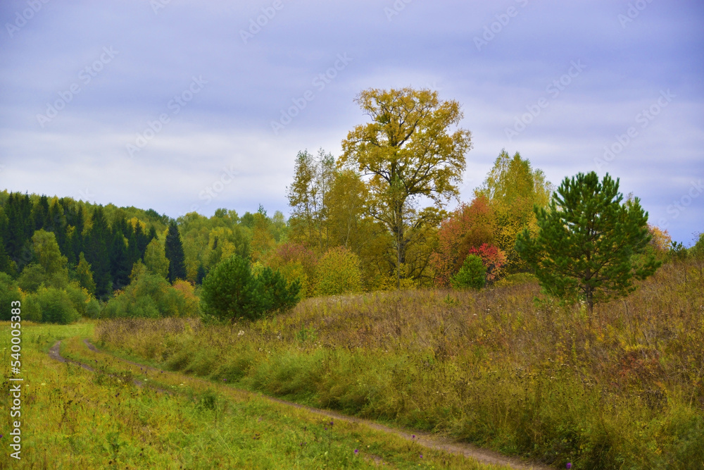 Dirt roads through the autumn fields and forests