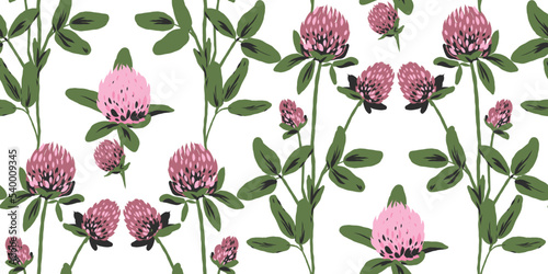 Seamless pattern with pink wild flowers of clover. Botanical illustration for home decor.