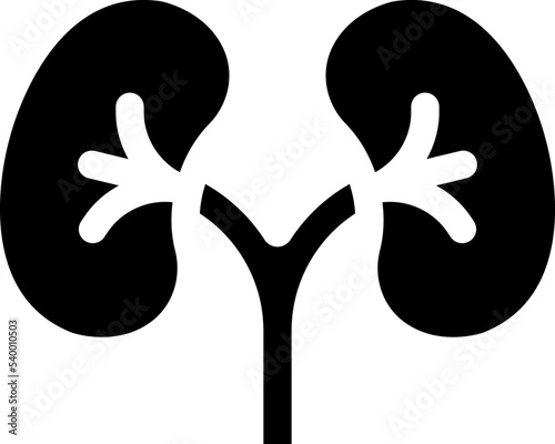 Human kidneys icon