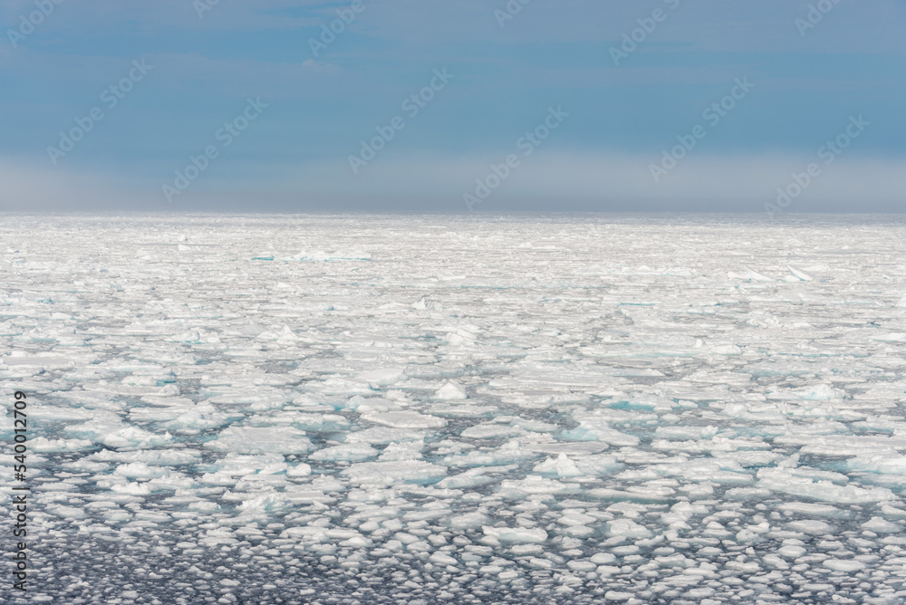 Arctic landscape - sea surface with ice floe Arctic landscape - sea surface with ice floe