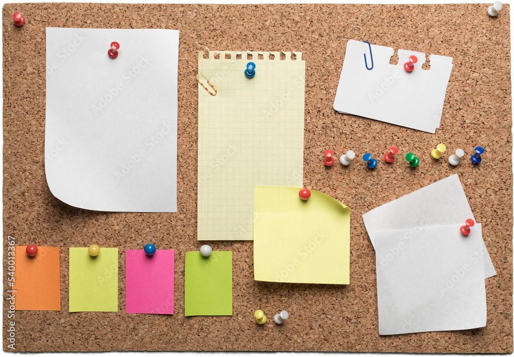 Blank Notes with Pins Blank Notes with Pins