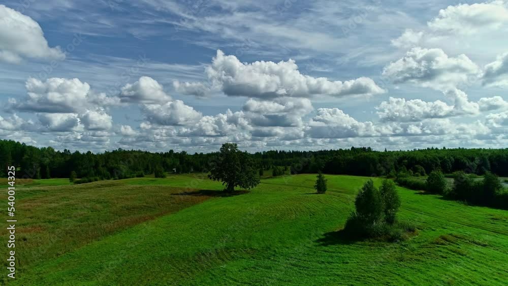 Incredible cinematic drone shot green grass fields and blue cloudy sky Incredible cinematic drone shot green grass fields and blue cloudy sky