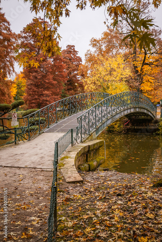 Iron footbridge in the Jardin Public park in Autumn in Bordeaux, France