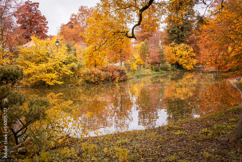 Colored trees and body of water in the Jardin Public park in Autumn in Bordeaux, France © JeanLuc Ichard