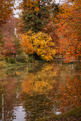 Colored trees and body of water in the Jardin Public park in Autumn in Bordeaux  France