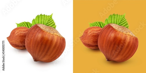 Hazelnuts with leaves isolated on white background as package design element