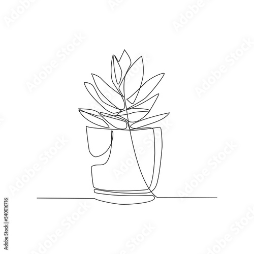 vase with flowers