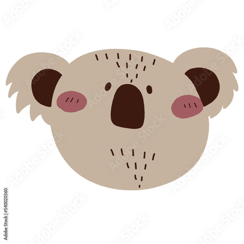 Photography facial woodland animal