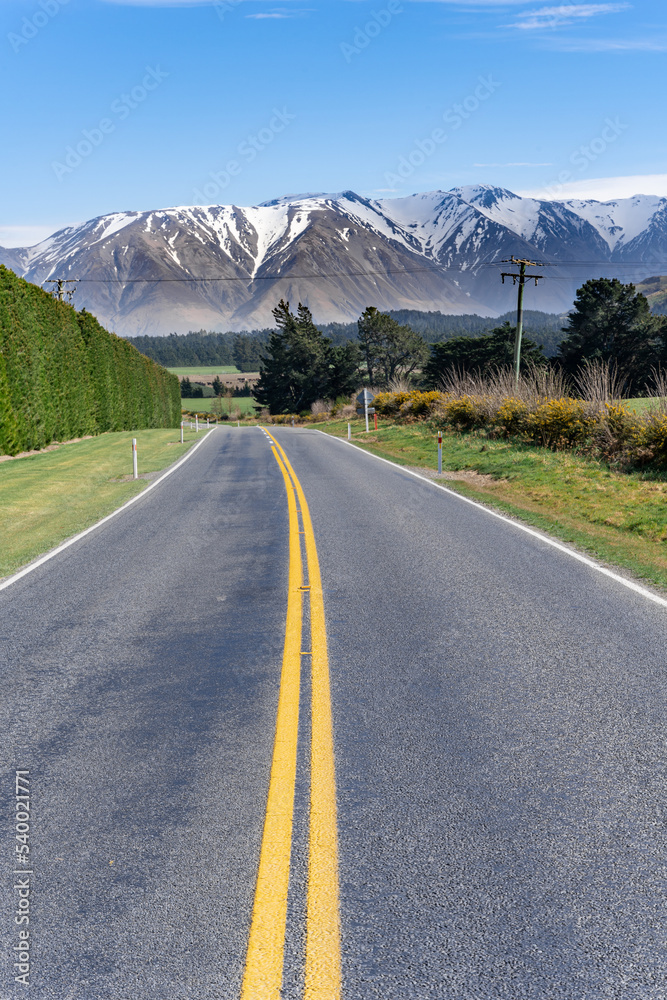 Landscape of Canterbury, South Island New Zealand, taken on the Inland Scenic Route 72, with wild bushes and snow-covered Alps in the background.