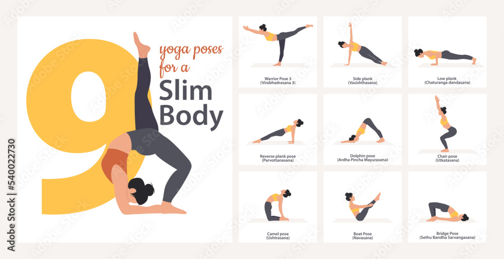Beautiful woman demonstrating yoga poses. Set of yoga asanas with names in English and Sanskrit for a slim body. Yoga sequence vector design. Beautiful woman demonstrating yoga poses. Set of yoga asanas with names in English and Sanskrit for a slim body. Yoga sequence vector design.