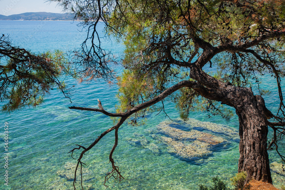 Panoramic viewpoint of summer natural landscape, the seascape turquoise color, and the beautiful and clean Aegean sea. Pine trees surround coast. Holiday travel concept. Rocky shoreline. Panoramic viewpoint of summer natural landscape, the seascape turquoise color, and the beautiful and clean Aegean sea. Pine trees surround coast. Holiday travel concept. Rocky shoreline.