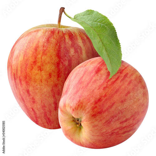 Two striped red apples cut out photo