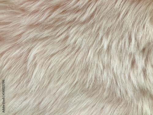 wool rug for texture background