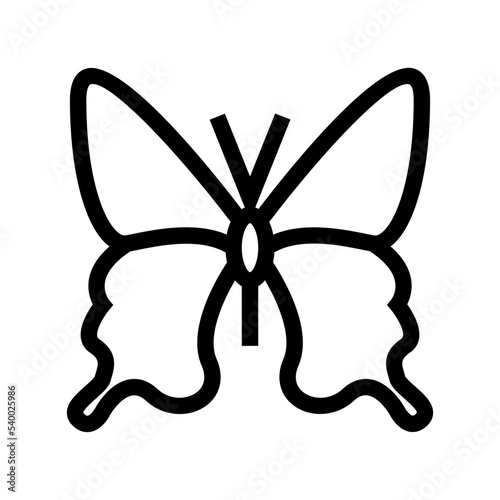 Butterfly Vector Icon