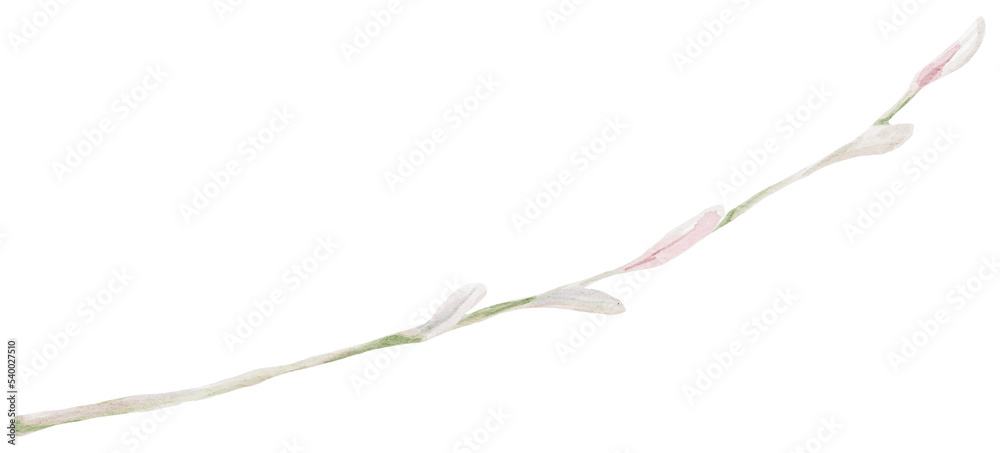 Fototapeta premium Watercolor autumn branch.