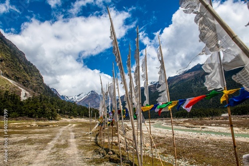 Prayer flags along the Yumthang Valley in Lachung Sikkim, India photo