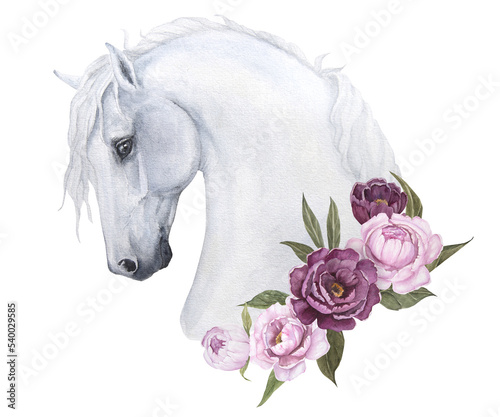 Watercolor illustration of a white horse with delicate peonies isolate photo