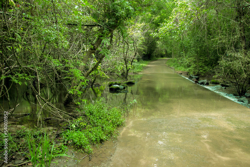 path in the park