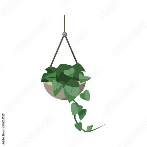 Plant in hanging flowerpot flat vector illustration. Indoor houseplant for home or office, flower with green leaves in cachepot isolated on white background. Nature, urban jungle concept