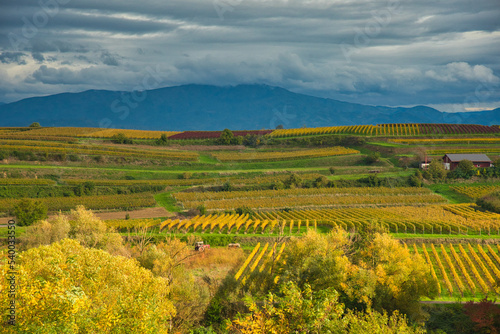 Herbst im Kaiserstuhl bei Endingen