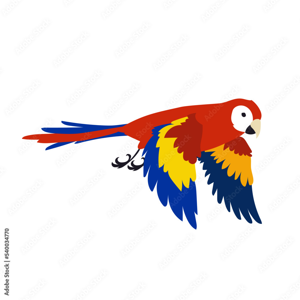 Fototapeta premium Colorful tropical parrot spreading wings vector illustration. Bird flapping wings, movements in flight. Red ara flying in sky isolated on white background. Animal, motion concept