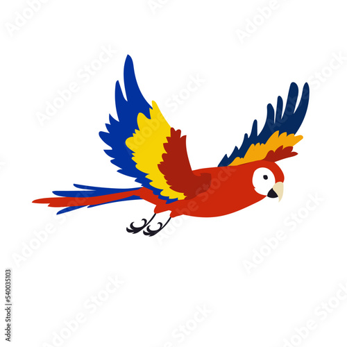 Red tropical parrot flying vector illustration. Colorful bird flapping wings, movements of wings. Ara flying in sky isolated on white background. Animal, motion concept