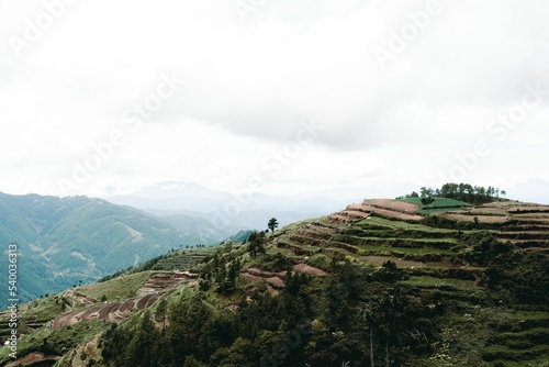 Rice Terraces in Benguet Philippines photo