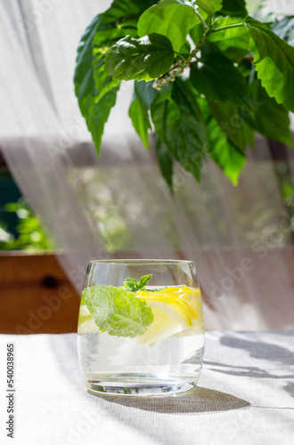 Homemade lemonade with lemon, mint and ice cubes in a glass with green leaves on the background.