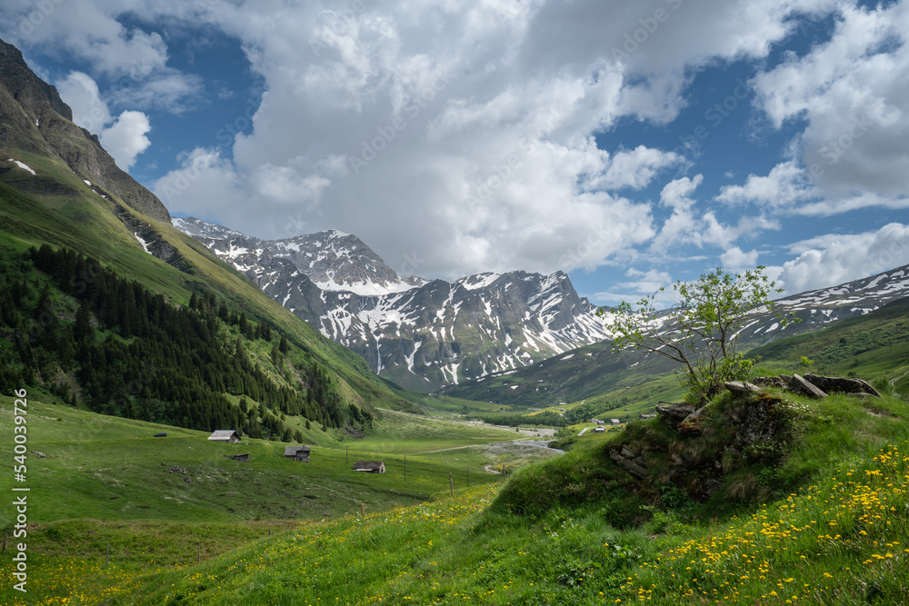 Obraz premium The Safien valley in the Grisons, Switzerland