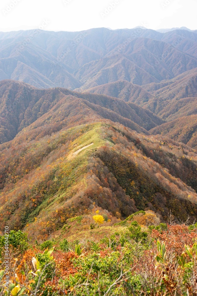 紅葉と稜線～冠山にて～