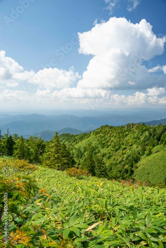 白草山と入道雲