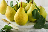 Pears. Fresh sweet organic pears with leaves on stand or plate on old stone tile background. Frame of autumn harvest fruits. Top view. Food background. Mock up.